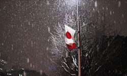 Japonya'da şiddetli kış şartlarından kaynaklanan can kayıplarının sayısı yükseldi!