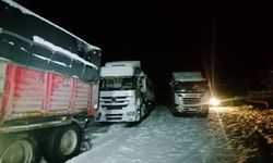 Bingöl-Erzurum kara yolu tır trafiğine kapatıldı