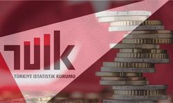 Ocak ayına ilişkin YD-ÜFE verileri açıklandı!
