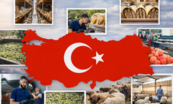 Türkiye'de 2026 için il il en iyi kazanç sağlayan meslekler! Hangi bölgede hangi meslek lider konumda?