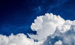 Bulut, bal ve dil: Sizi hayrete düşürecek bilimsel gerçekler