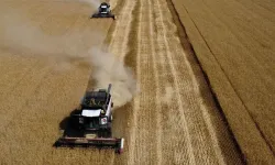 Buğday fiyatlarında artış