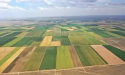 İşlenmeyen tarım arazileri için hibe desteği