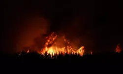 Tarihin en büyük yangınlarından..600 bin dönüm kül oldu