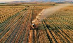 Tarım ÜFE Şubat'ta yıllık bazda arttı