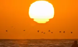 "Süper El Nino" Rekor Sıcaklıklarla Kapıda!