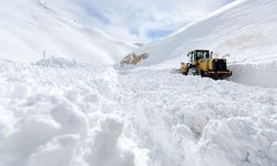 Doğu’da kar yağışı ulaşımı felç etti: 427 yol kapandı