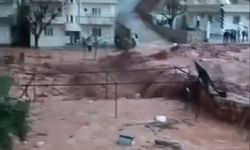 Şırnak'ta yoğun yağış sele neden oldu!