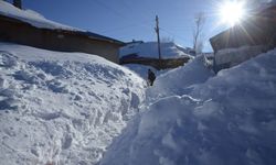 Köy karla kaplandı: Hayat mücadelesi kat kat katlandı!