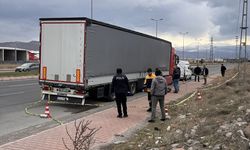 Tır şoförü yol kenarında ölü bulundu