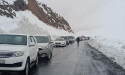 Şırnak-Hakkari kara yoluna çığ düştü