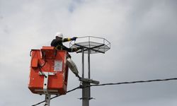 Leylekler için çok anlamlı çalışma!