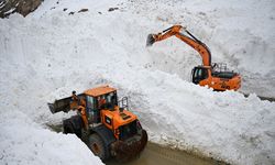 Van-Hakkari kara yolu çığ nedeniyle kapandı