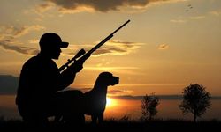 Türkiye genelinde av sezonu sona erdi