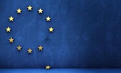 AB'nin resmi internet sitesine siber saldırı düzenlendi