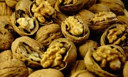 TİGEM 20 ton ceviz satacak