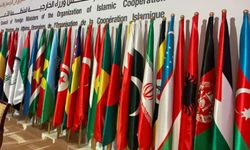 İslam İşbirliği Teşkilatı, işgal rejiminin idam yasasını kınadı