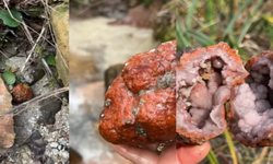 Üstünden geçip gidiyorlar oysa kırıldığında servet saçılıyor ortaya