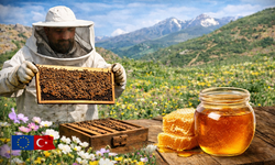 Doğal şifalı Bingöl balı dünyaya açılıyor