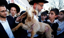 Mescid-i Aksa'da hayvan kurban edildi! Kudüs Valiliği'nden tepki