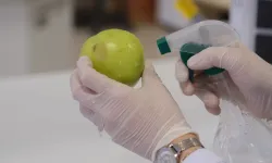 Meyve Muhafazasında "Doğal Yağ" Alternatifi!