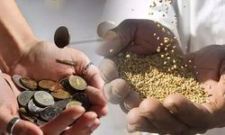 Fitre ve Zekata Dair Bilmeniz Gereken Her Şey 2026