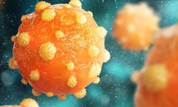 Gizli Tehlike Hepatit: Belirti Vermeden Karaciğeri Hedef Alıyor