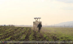 Çiftçiler uyardı: : Destek olmazsa ekim durur