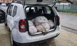 306 kilo at eti piyasaya sürülmeden yakalandı