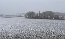 Bazı illerde kar yağışı etkili oldu!