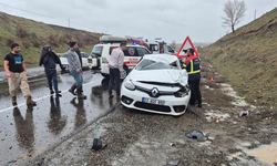 Bingöl'de kaza: 1 ölü, 2 yaralı