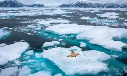 Buz tabakasının altında tuhaf şeyler oluyor