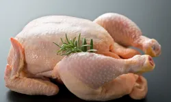 Tavuk eti üretimi arttı
