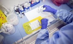 Kanser taramalarına katılım büyük oranda arttı