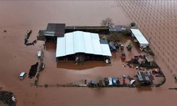Gediz Nehri taştı, tarım arazileri su altında kaldı