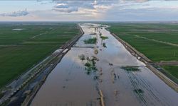 Suriye'de aşırı yağışlar nedeniyle nehir taştı: Araziler su altında kaldı!