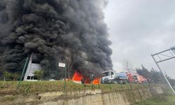 Fındık fabrikası deposunda yangın!
