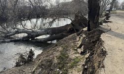 Tunca Nehri kıyısında toprak kayması!