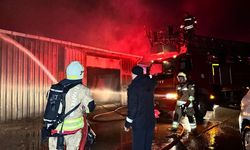 Edirne'de korkutan yangın