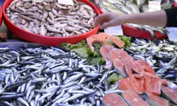 Çoğu kişi ilk kez duyacak: En sağlıklı balık açıklandı