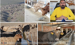 Üreticilere kritik uyarı: Büyük kayıplara yol açabilir!