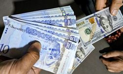 En çok değer kaybeden para birimleri