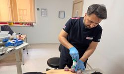 Hacamat ve akupunktur hekim kontrolünde uygulanıyor