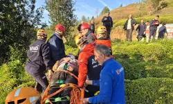 Hafif ticari araç çay bahçesine devrildi!