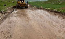 Siirt’te 70 köy yolu yeniden ulaşıma açıldı