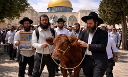 Kudüs Valiliği: Aksa’ya "kurbanlık" sokma girişimleri en yüksek seviyede!