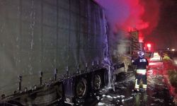 Seyir halindeki ahşap yüklü tır alev aldı