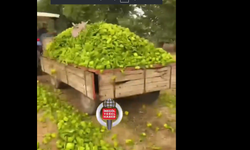 Bakanlıktan 'biber' videolarına ilişkin açıklama