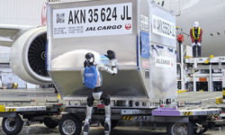 Çalışanlara kötü haber: Robotlar bagaj görevlisi oluyor