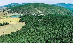 Türkiye’nin en temiz havaya sahip şehri belli oldu!